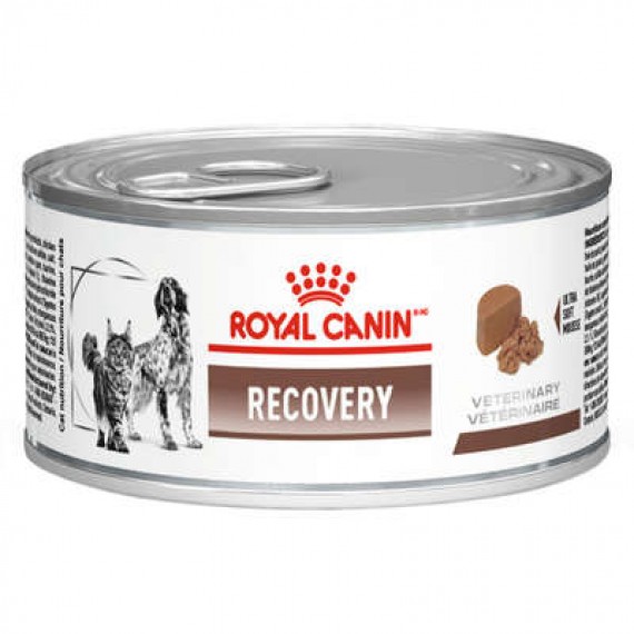 Ração Úmida Lata Recovery da Royal Canin Veterinary para Cães e Gatos - 195 g