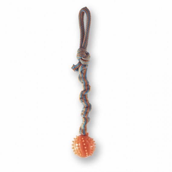 Brinquedo de Corda Sanfonada com Pêndulo Cravo para Cães da PetLike