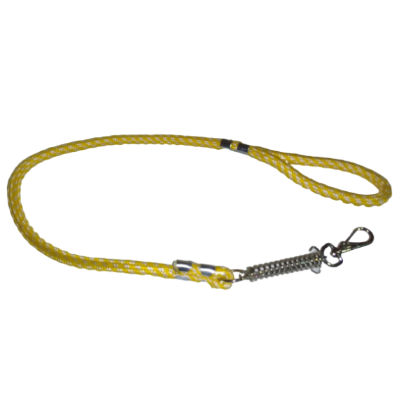 Guia de Corda Roliça com Mola para Cães de Porte Médio e Grande - 1 mt 